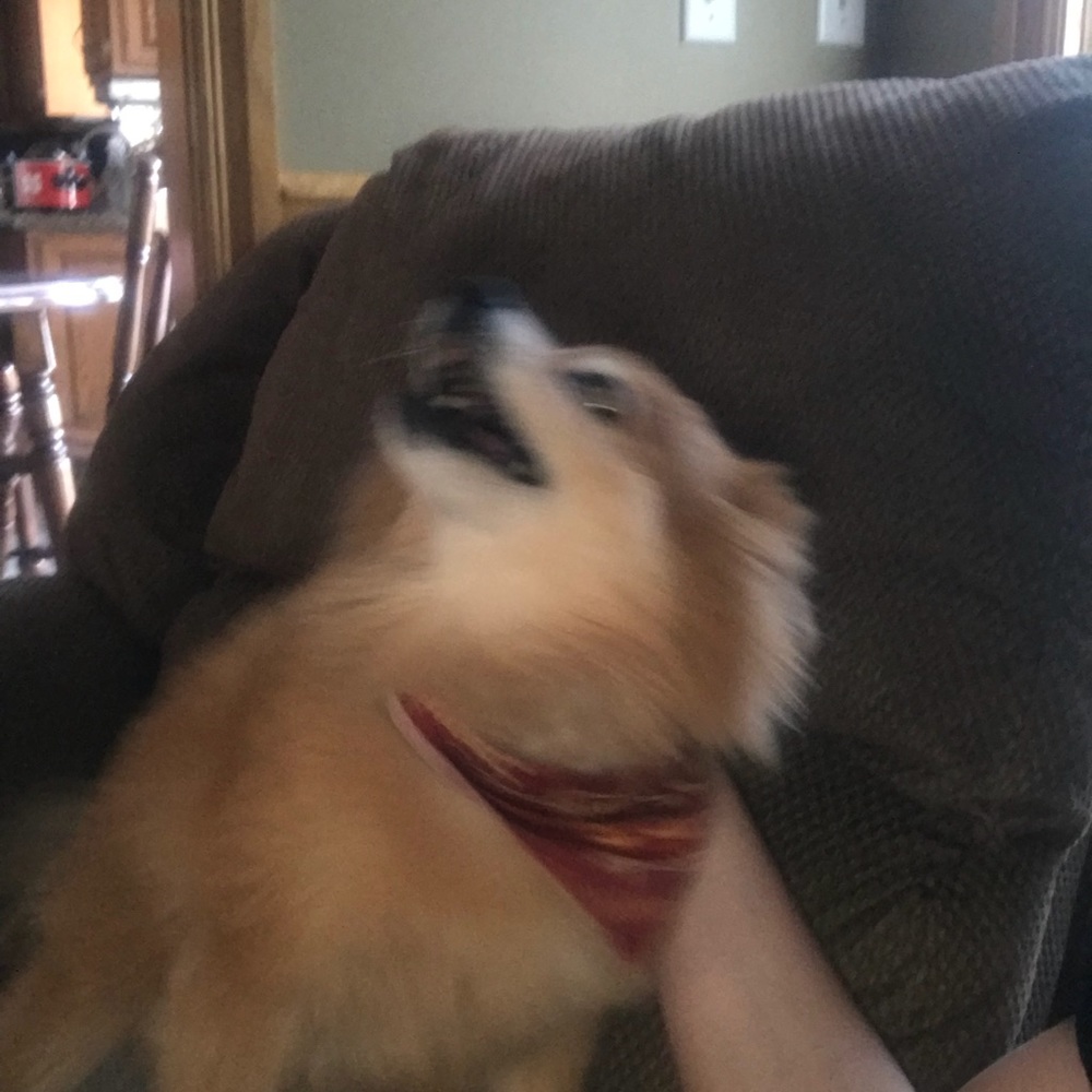 Meet your Posher, Jenna